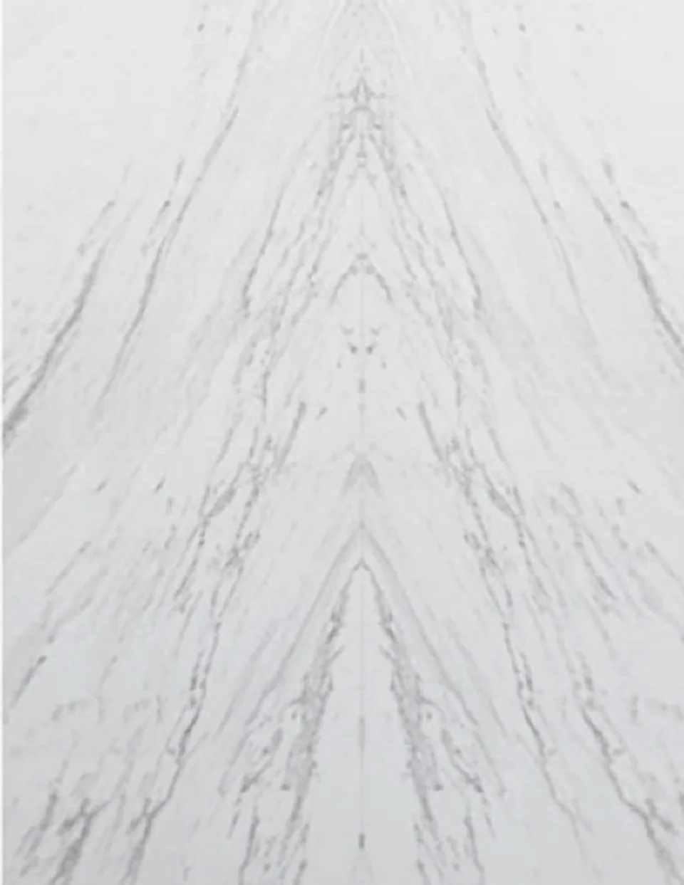 Pale stone slab with long gray veining